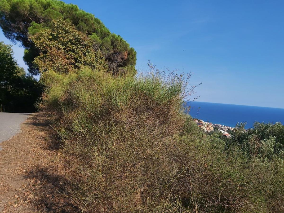 Costa E Mare Daire Savona Dış mekan fotoğraf